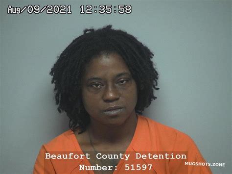 beaufort county mugfaces|beaufort sc arrested.